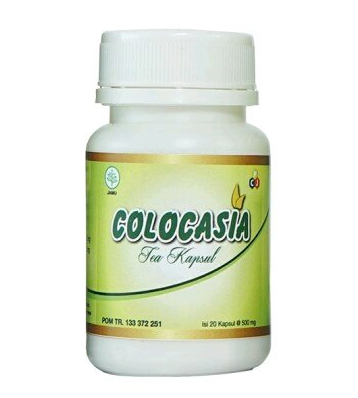 Colocasia kapsul